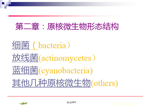 原核微生物形态结构