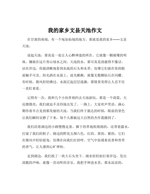 我的家乡文县天池作文