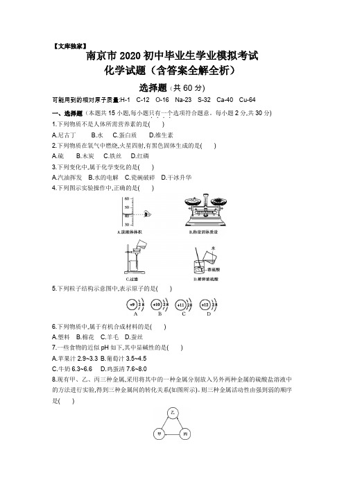 江苏南京2020中考化学综合模拟测试卷 (含答案)