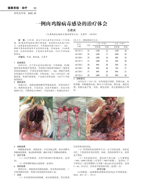 一例肉鸡腺病毒感染的治疗体会