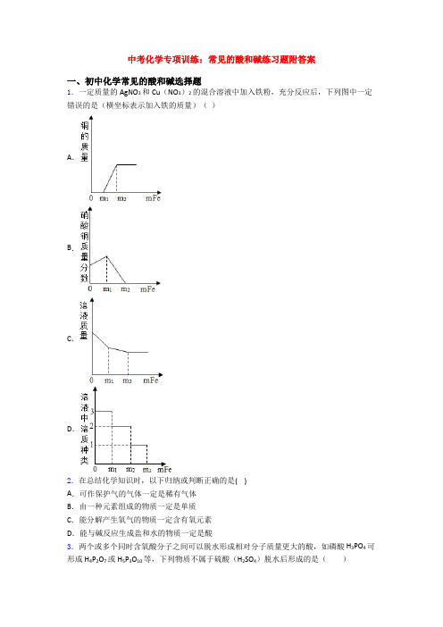 中考化学专项训练：常见的酸和碱练习题附答案