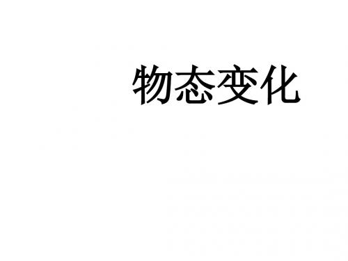 物态变化 PPT课件21 人教版