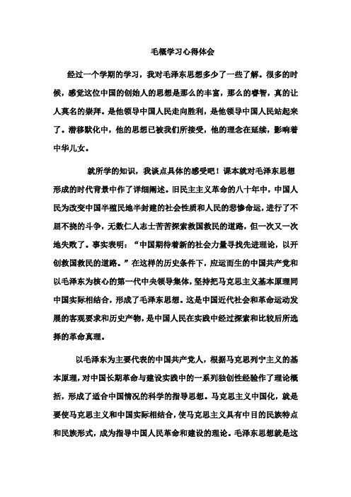 毛概学习心得体会详细版.docx