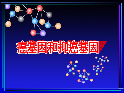 癌基因和抑癌基因精品文档