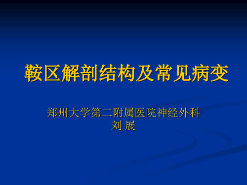 鞍区解剖结构以及常见病变