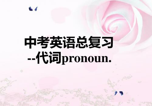 中考英语总复习代词pronoun