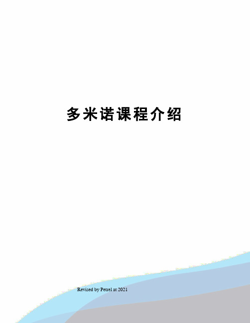 多米诺课程介绍