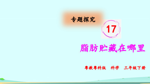 粤教版小学科学三年级下册17.脂肪贮藏在哪里(教学课件)