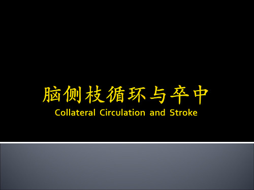 最经典的脑侧枝循环与卒中课件