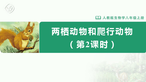 [课件]初中生物学 八年级上册 第一章第五节 两栖动物和爬行动物(第2课时)