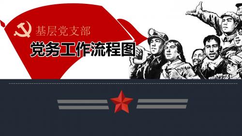 最新基层党支部工作指南、党务工作流程图学习讲解PPT模板