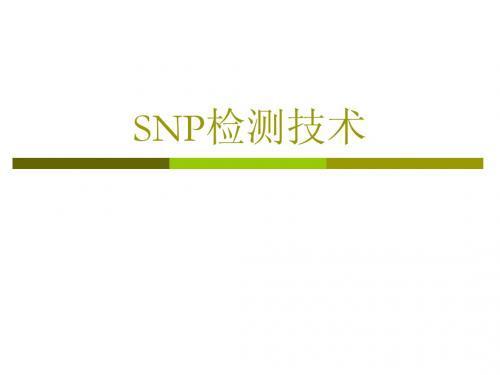 SNP检测技术