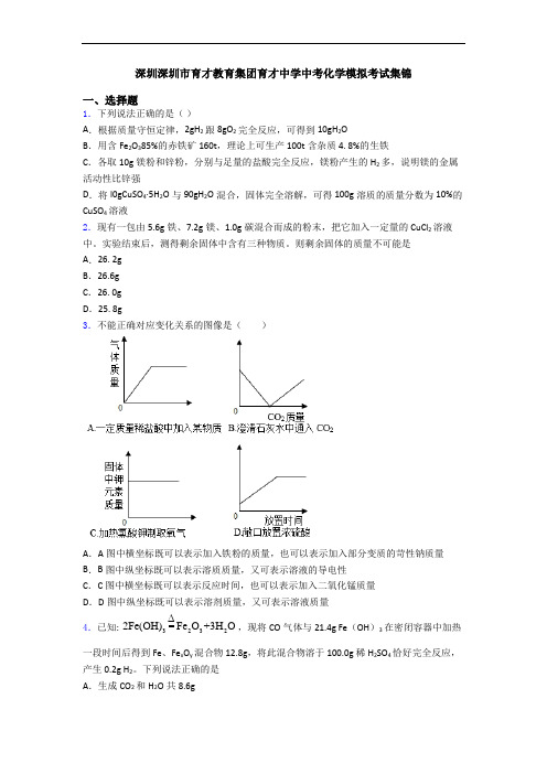 深圳深圳市育才教育集团育才中学中考化学模拟考试集锦