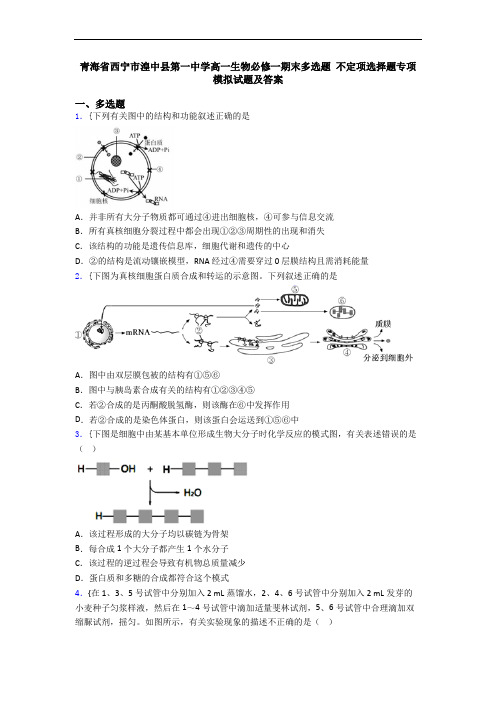 青海省西宁市湟中县第一中学高一生物必修一期末多选题 不定项选择题专项模拟试题及答案