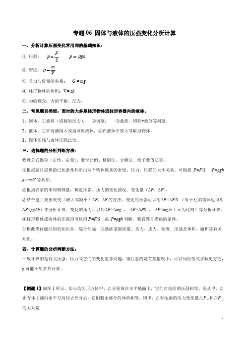 专题06 固体与液体的压强变化分析计算-上海市2019年中考物理二轮复习专题冲刺(解析版)