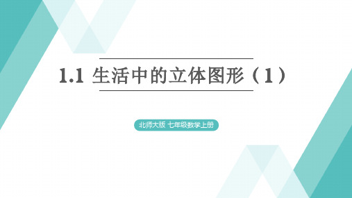 北师大版七年级上册数学同步练习：第一章丰富的图形世界