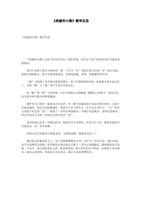 《美丽的小路》教学反思