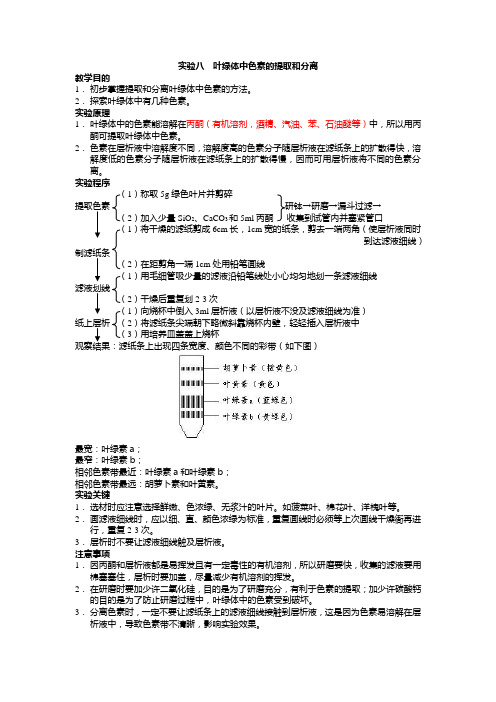 高中生物必修一实验八  叶绿体中色素的提取和分离