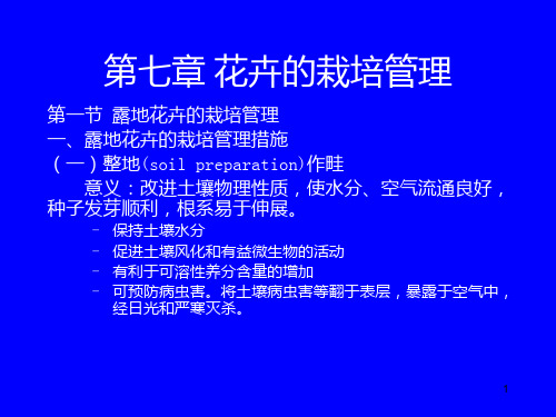 35第七章 花卉的栽培管理PPT课件