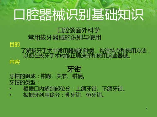 牙钳PPT学习课件