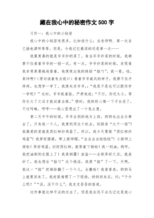 藏在我心中的秘密作文500字_作文