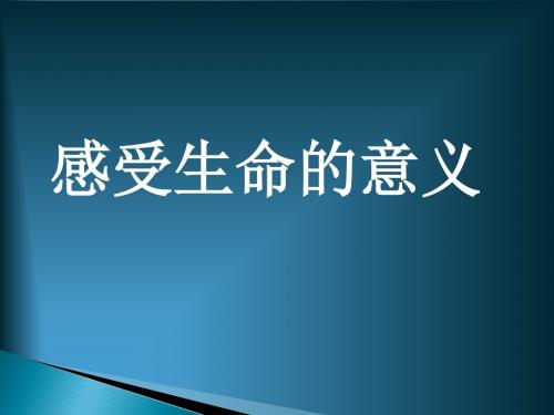 七年级上册道德与法制感受生命的意义