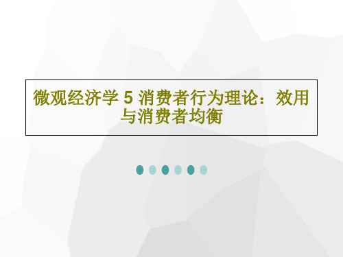 微观经济学 5 消费者行为理论：效用与消费者均衡33页PPT