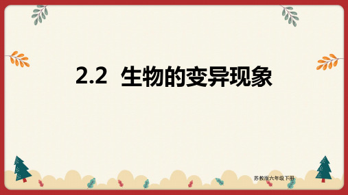 科学苏教版六年级下册  生物的变异现象 课件