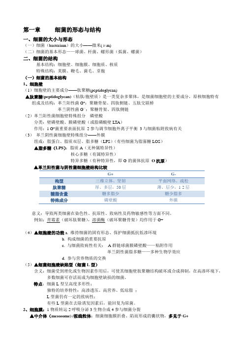 微生物细菌部分笔记整理