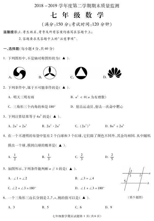 2018-2019学年第二学期期末质量检测七年级数学试题