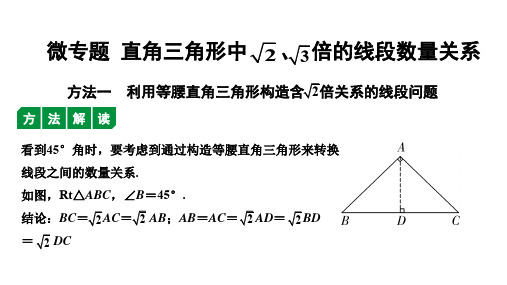 微专题  直角三角形中根号二、根号三倍的线段数量关系