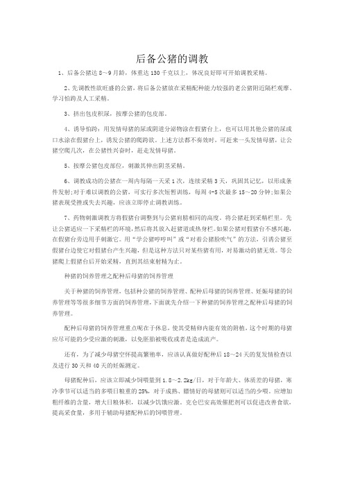 后备公猪的调教