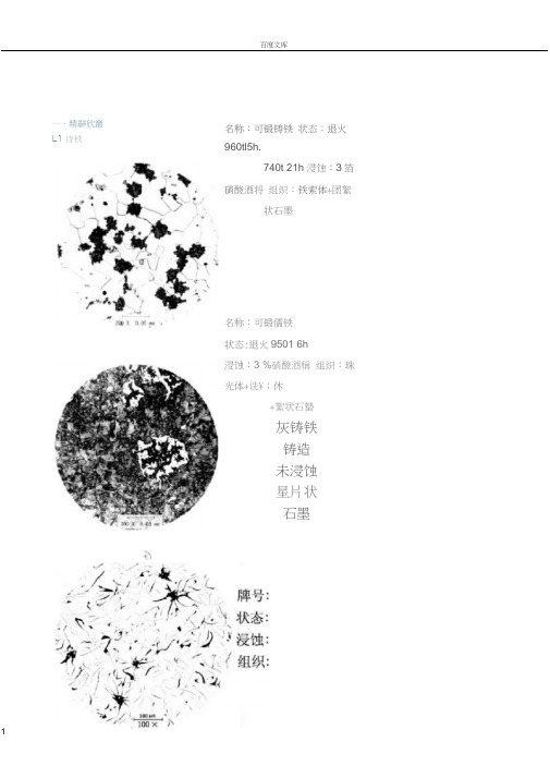 实用金相图谱库11铸铁