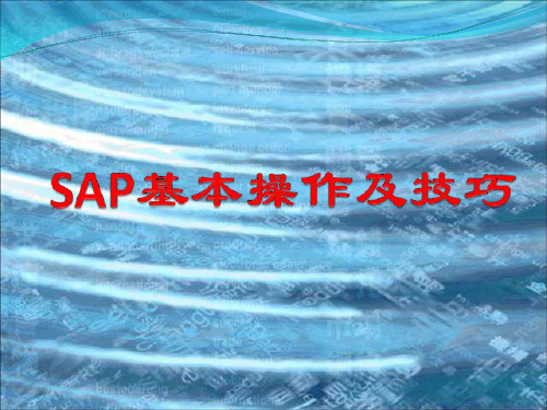 SAP基本操作及技巧教材(PPT 43页)