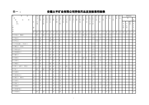 劳保用品发放标准明细表