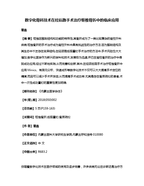 数字化骨科技术在经后路手术治疗枢椎骨折中的临床应用