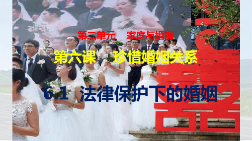 6.1 法律保护下的婚姻 课件-高中政治统编版选择性必修二法律与生活