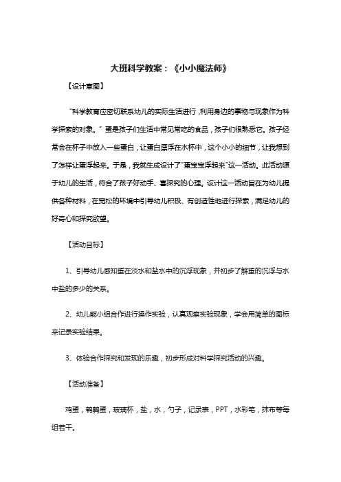 《小小魔法师》教案