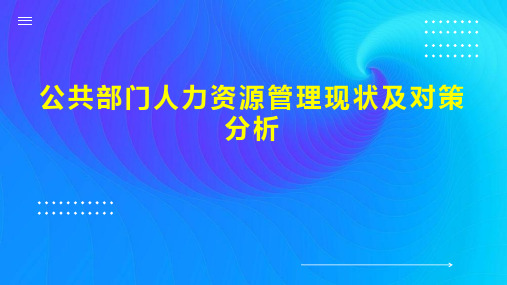 公共部门人力资源管理现状及对策分析