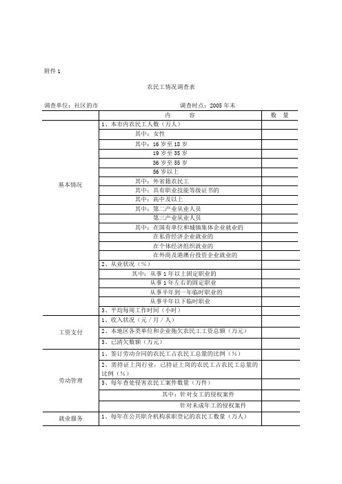 农民工情况调查表