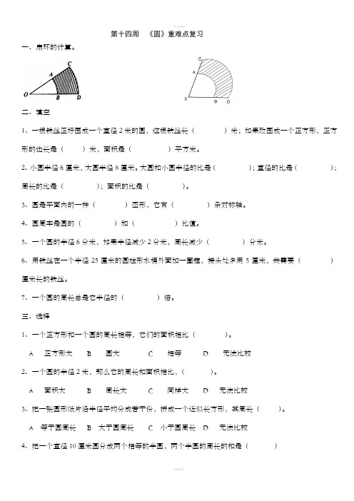 新人教版六年级数学上册第五单元圆归类复习练习题