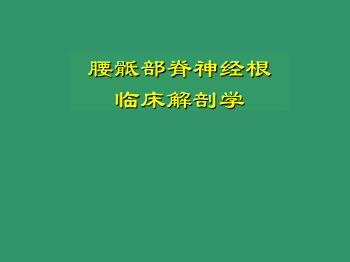 腰骶部脊神经临床解剖学