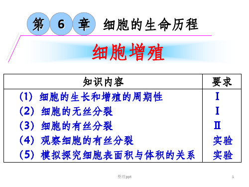 细胞增殖复习(1)