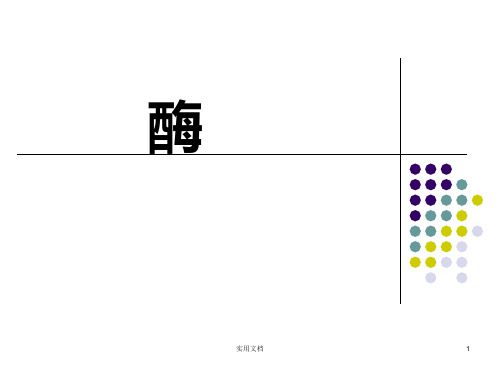 大学生物化学 酶