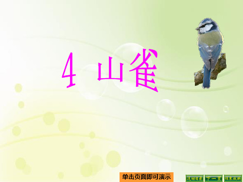 最新语文S版三年级语文下册4、山雀ppt公开课优质教学课件