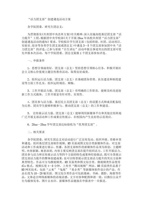 “活力团支部”创建遴选活动方案(最新)
