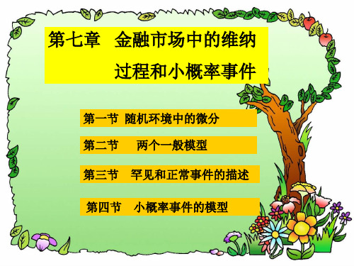 随机过程在金融中的应用7金融市场中的维纳过程及小事件概率