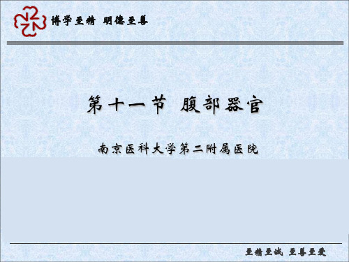 临床医学基础-腹部疾病