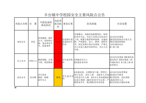 校园安全主要风险点公告(统计表)