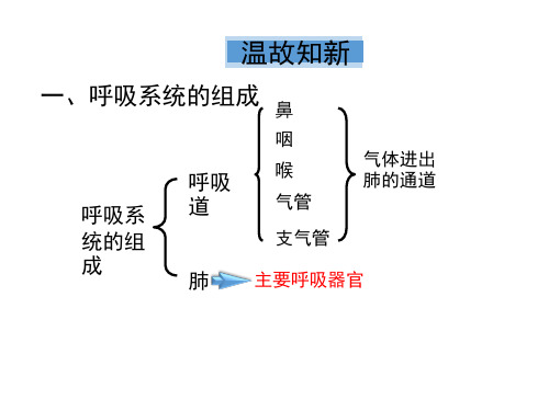 第三章第二节发生在肺内的气体交换课件(人教版生物)